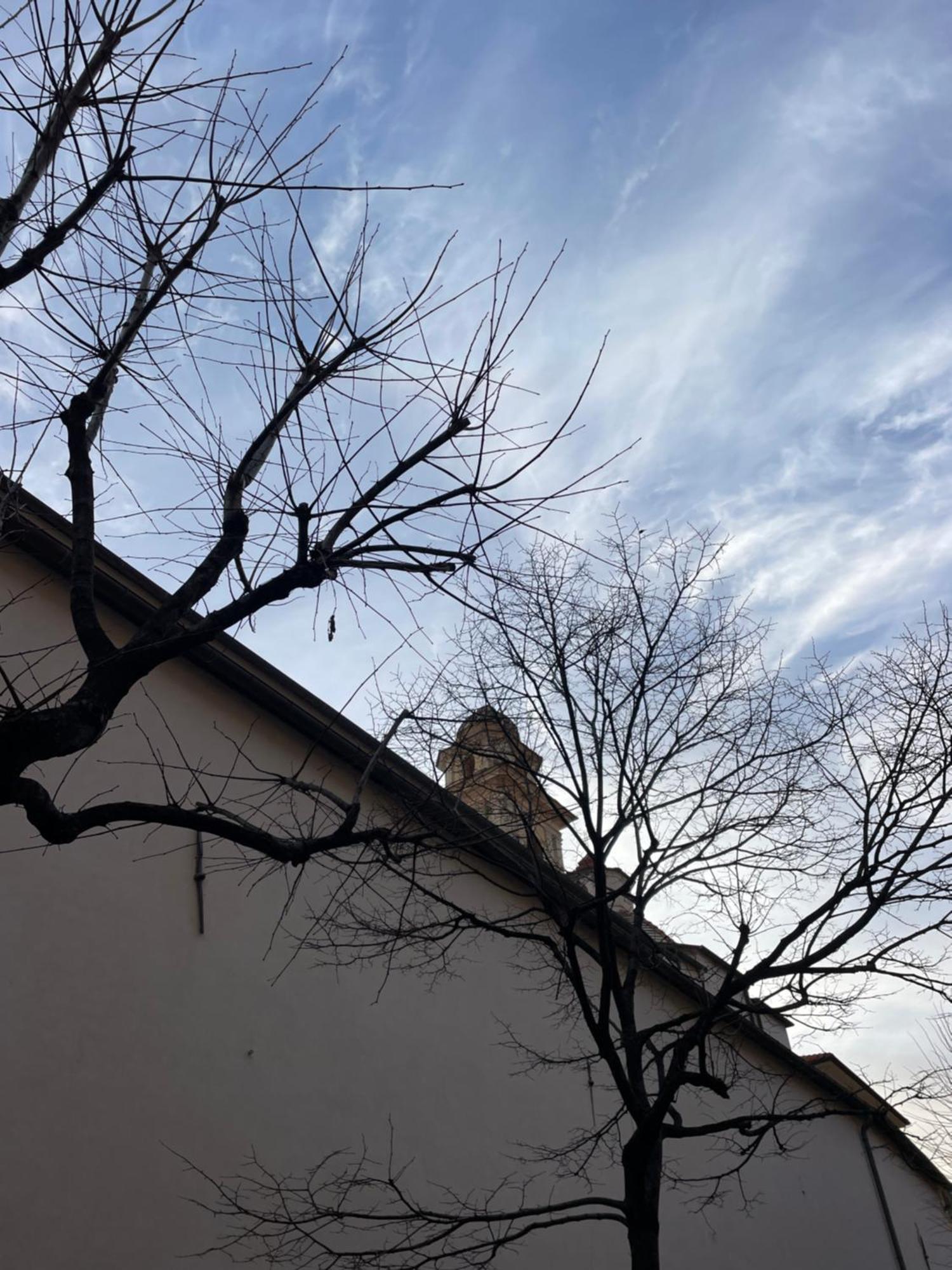 דירות סנטו סטפנו אל מארה Casa Del Cardinale מראה חיצוני תמונה